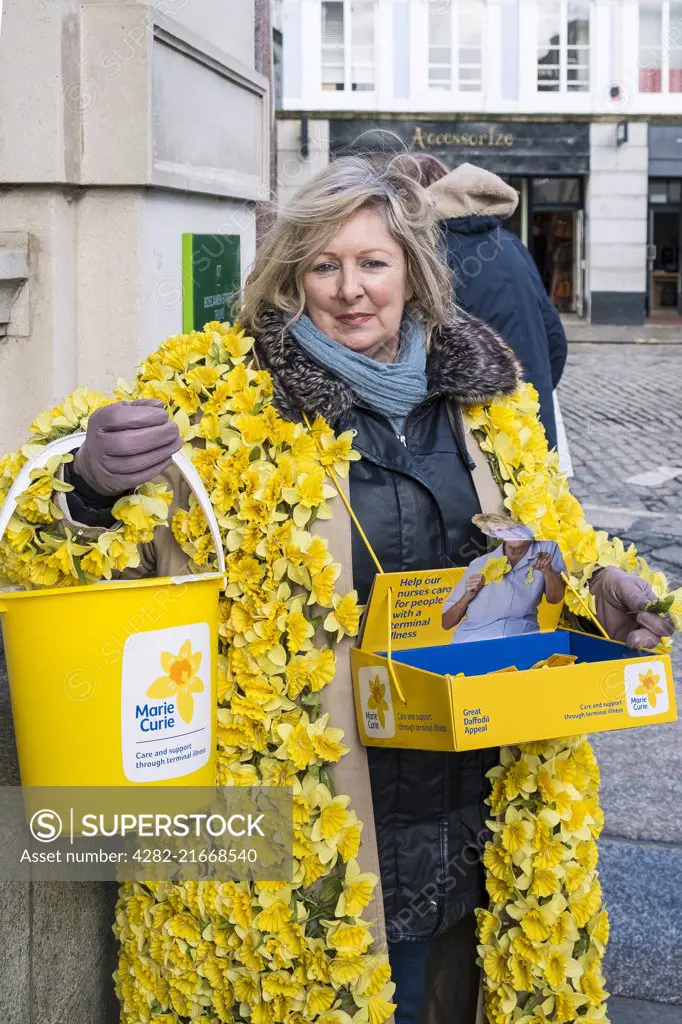 A volunteer collecting funds for the Marie Curie Great Daffodil Appeal.