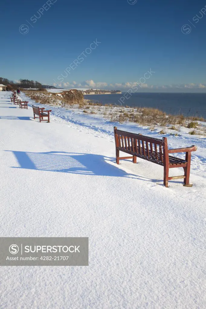 England, East Riding of Yorkshire, Bridlington. Benches overlooking the North Sea near Bridlington with Flamborough Head in the background.