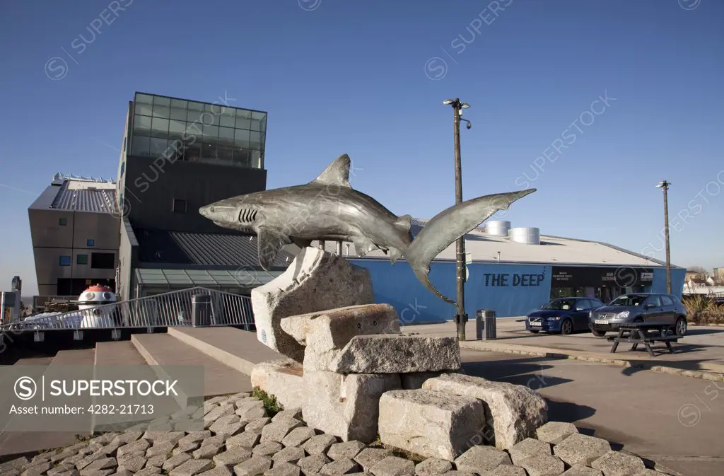 England, East Riding of Yorkshire, Hull. A sculpture of a Grey Reef Shark outside The Deep, an aquarium overlooking the Humber Estuary.