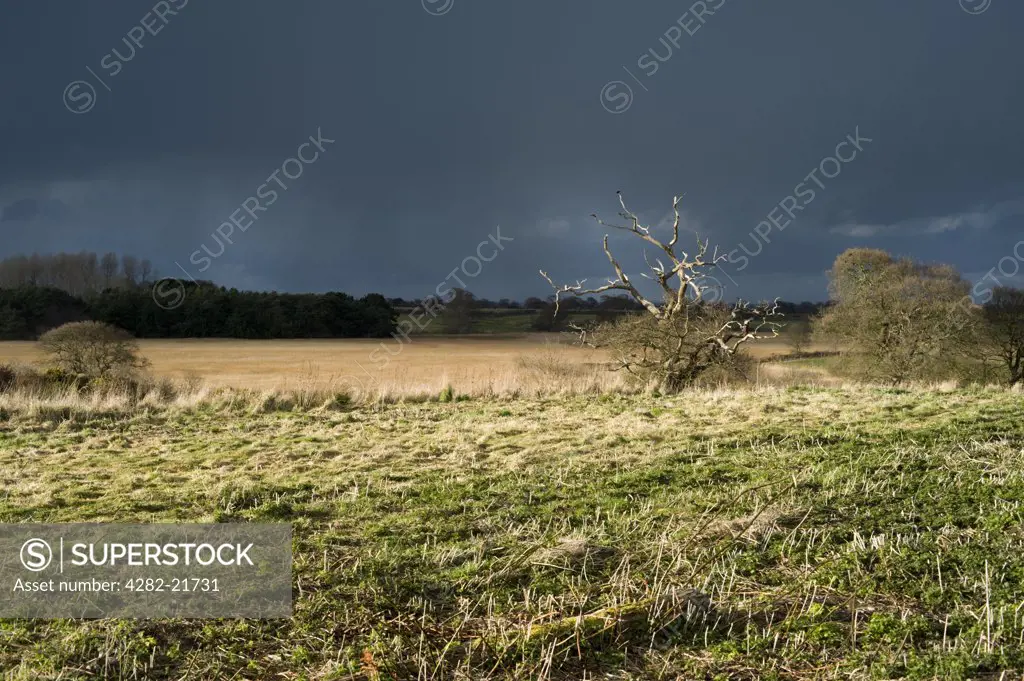 England, Suffolk, Southwold. Storm clouds gathering just outside Southwold on the Heritage Coast.