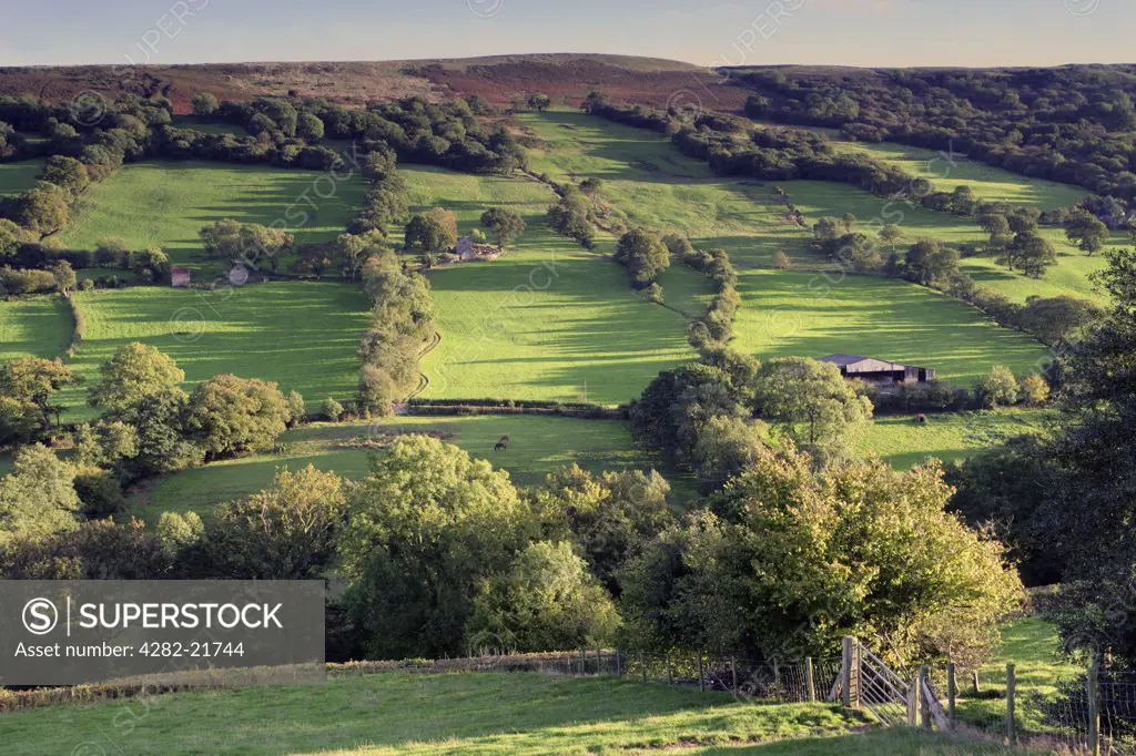 Wales, Powys, Brecon. Evening sunlight falls across fields on the hillside of the Brecon Beacons.