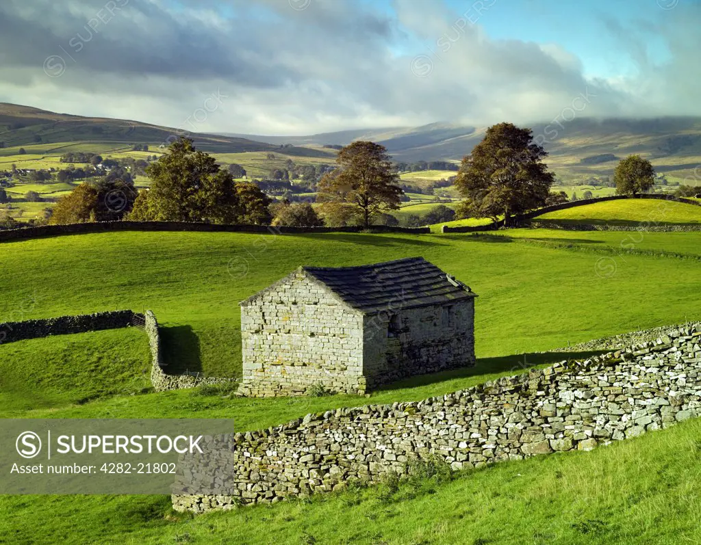 England, North Yorkshire, Hawes. A traditional stone barn and walls in Wensleydale in the Yorkshire Dales.