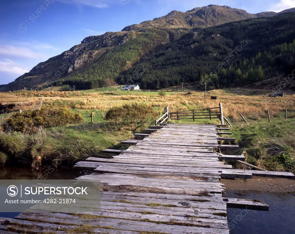 Scotland, Argyll & Bute, Near Dunoon. A wooden sheep bridge spans the River Massan in the heart of remote Glen Massan.