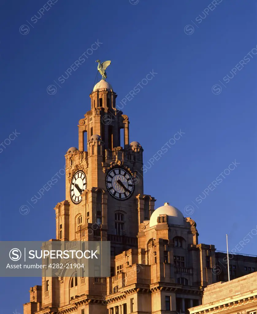 England, Merseyside, Liverpool. The top of the Royal Liver Building, one of England's most recognisable landmarks and a prominent feature of the Liverpool waterfront.