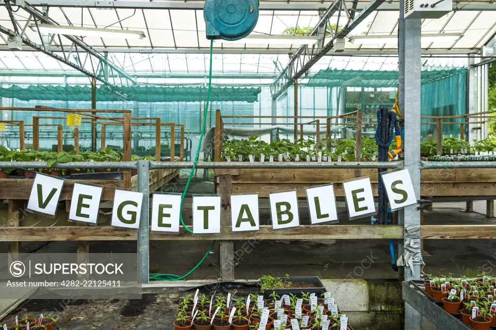 A sign for vegetables in a garden centre nursery.
