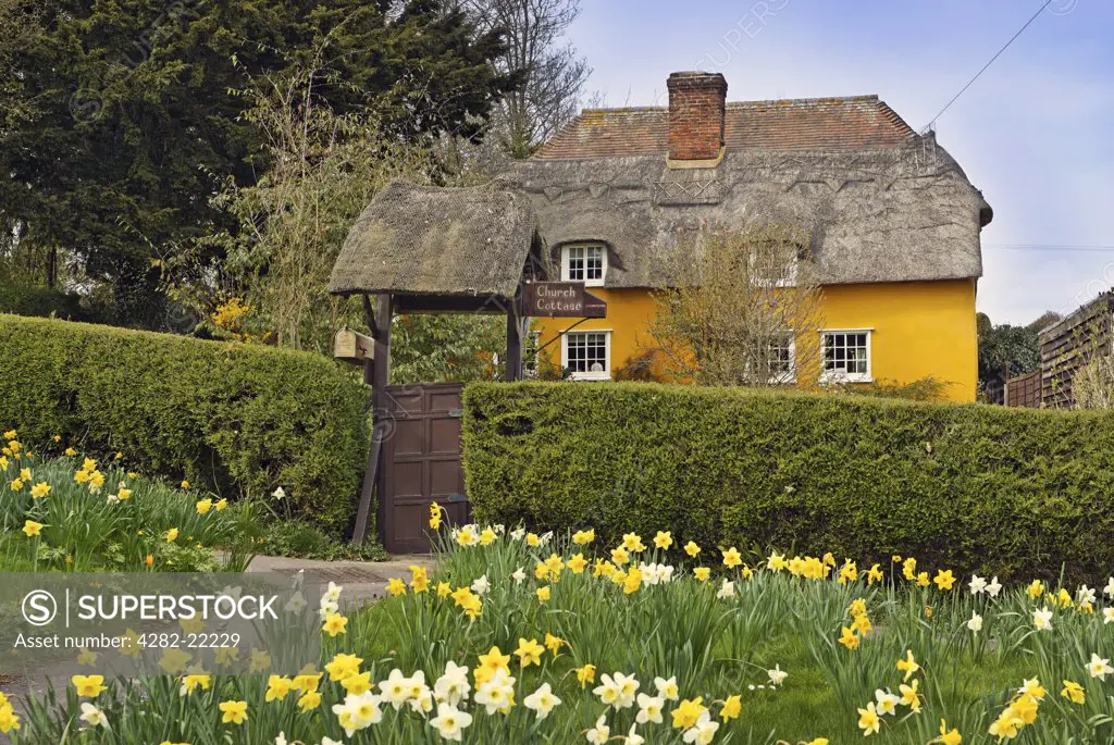 England, Essex, Saffron Walden. Church cottage in the village of Elmdon in the Uttlesford district of Essex.