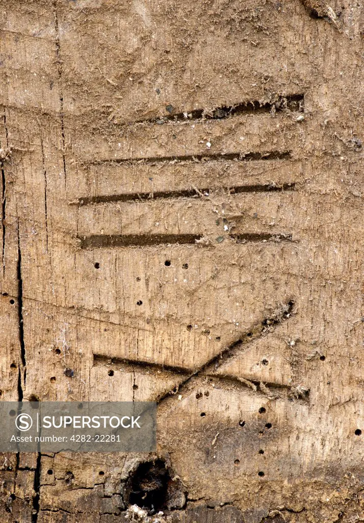 England, Essex, Saffron Walden. Old builder's marks in a timber framed barn.
