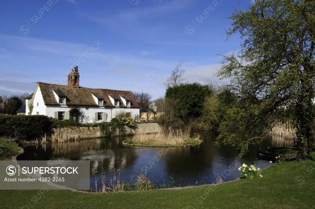 England, Cambridgeshire, Comberton. A duckpond in the historic rural village of Comberton.
