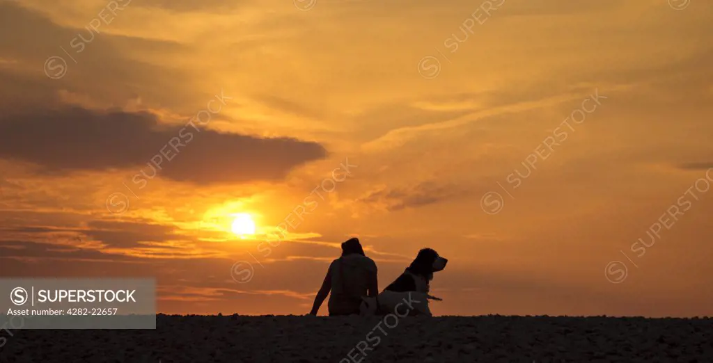 Wales, Anglesey, Penmon. The silhouette of a woman sitting with her dogs on a beach as the sun sets.