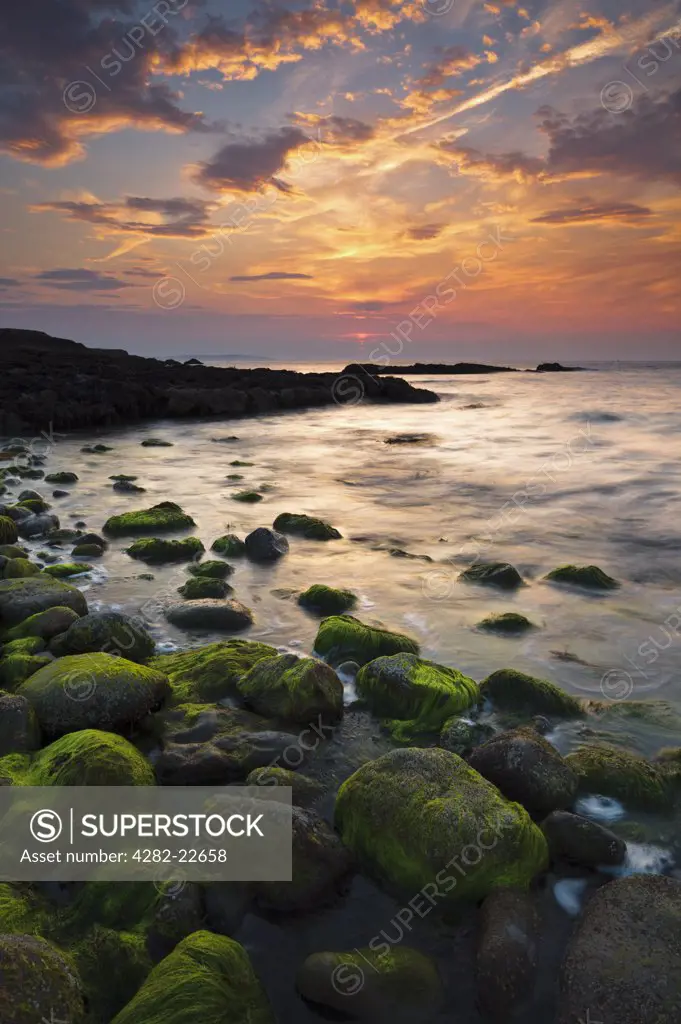 Wales, Anglesey, Penmon. Sunset over green seaweed covered rocks at Penmon point on the Isle of Anglesey.