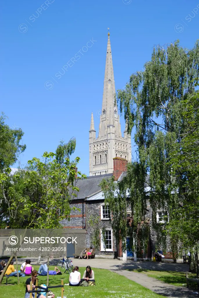 England, Norfolk, Norwich. The spire of Norwich Cathedral overlooking people relaxing in Cathedral Close.