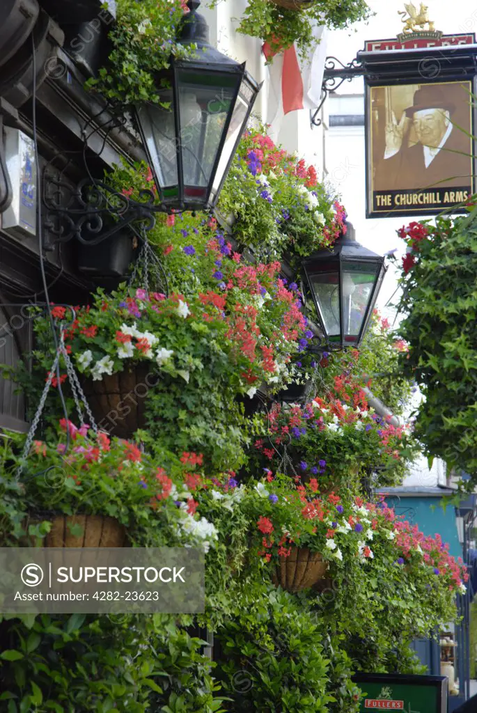 England, London, Notting Hill. Hanging flower baskets on the exterior of Churchill Arms pub in Notting Hill.