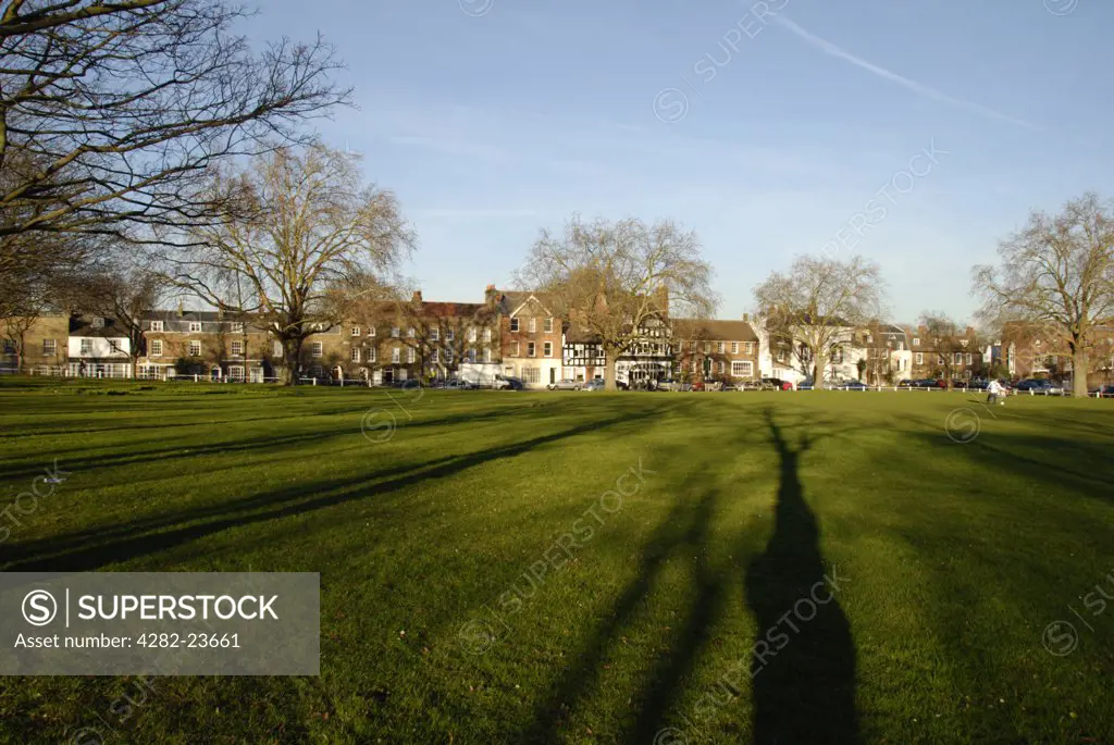 England, London, Kew. Trees casting tall shadows across Kew Green in London.