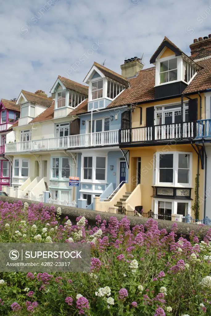 England, Kent, Whitstable. Colourful houses and wild flowers on the seafront at Whitstable.
