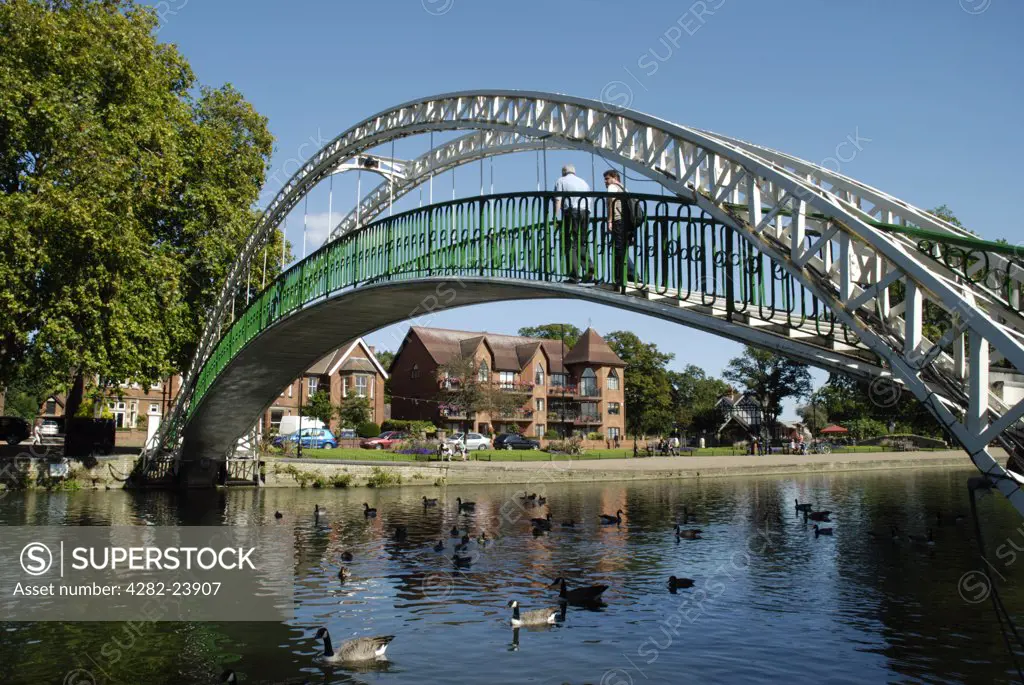 England, Bedfordshire, Bedford. Ducks pass under the Victorian footbridge that crosses the River Great Ouse.