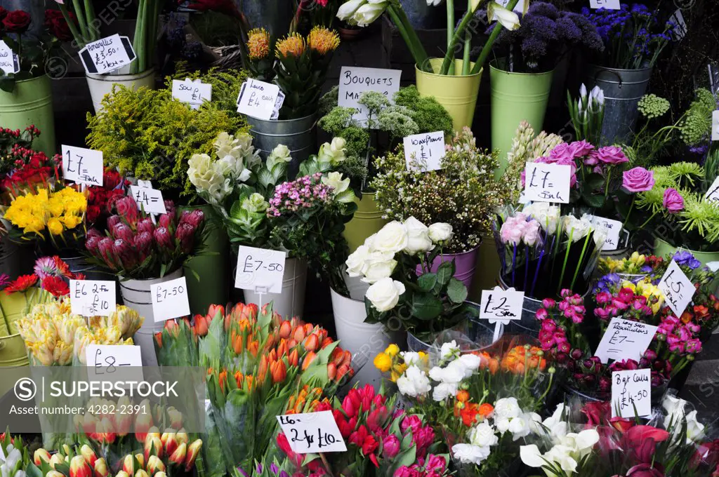 England, London, Borough. Flowers for sale from a florists stall at Borough market.