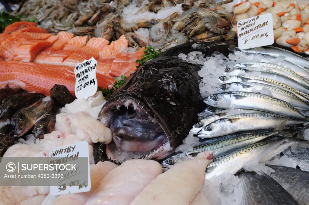 England, London, Borough. Seafood for sale from a fishmongers stall at Borough market.