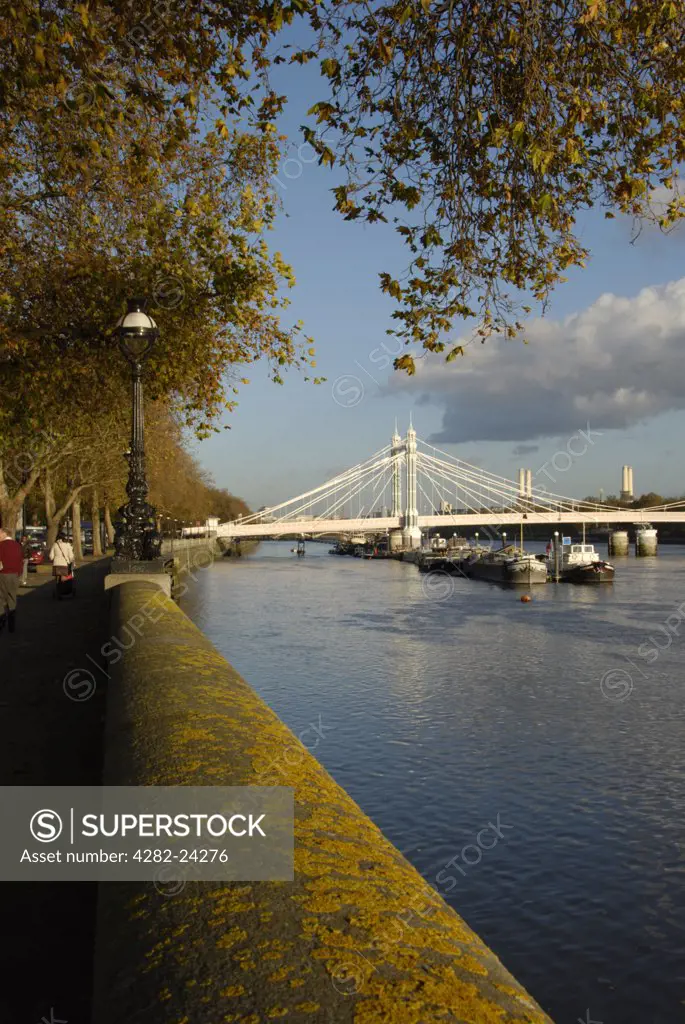 England, London, Chelsea. A view to the Albert Bridge from Chelsea Embankment.