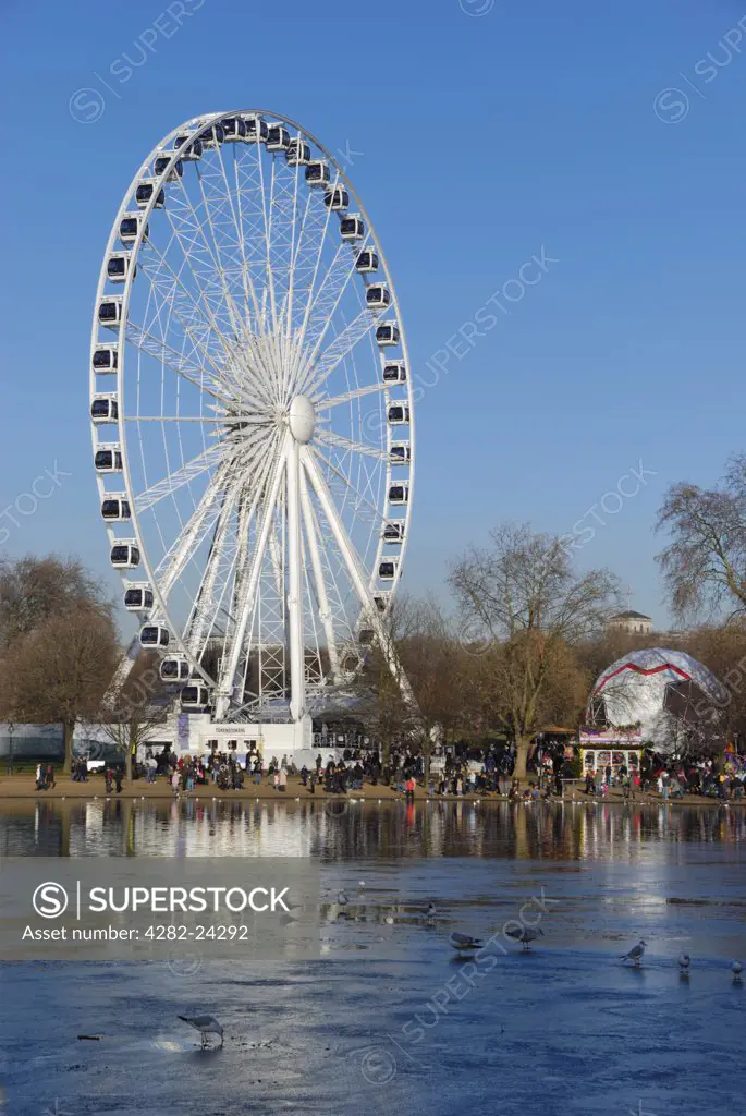 England, London, Hyde Park. A view across Serpentine lake to the Wheel of Hyde Park.