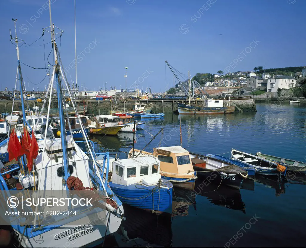 England, Devon, Brixham. Small craft at anchor in the inner harbour at Brixham.