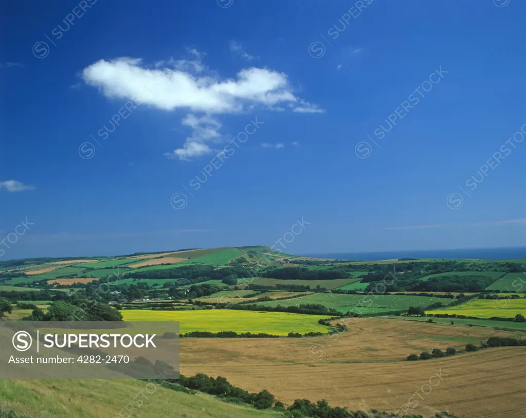 England, Dorset, Chideock. A view above Chideock.