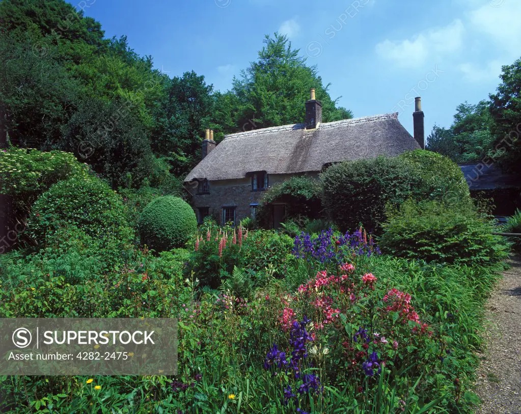England, Dorset, Upper Bockhampton. A view to Thomas Hardy's cottage.