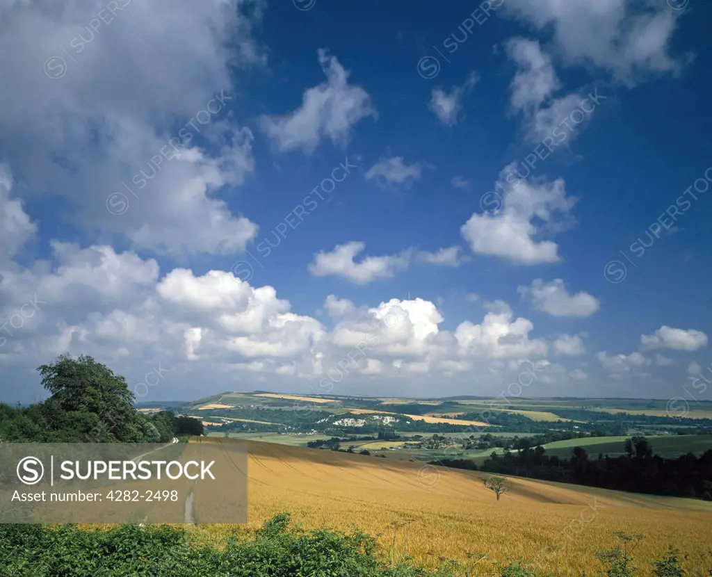 England, West Sussex, South Downs. The Sussex Downs from Bury Hill.