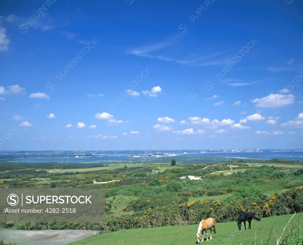 England, Dorset, Poole. Overlooking the Isle of Purbeck and Poole harbour.