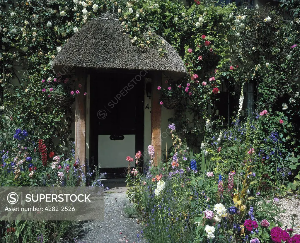 England, Dorset, Melcombe Bingham. A cottage garden in full bloom.