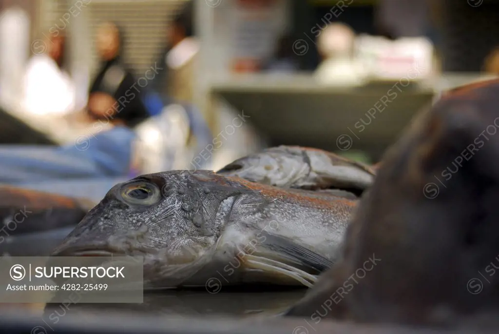 Republic of Ireland, Dublin, Moore Street Market. Detailed view of a fish stall at Moore Street Market in Dublin.