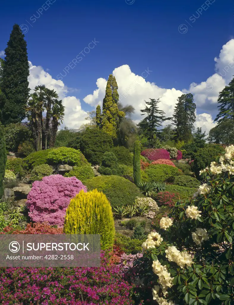 England, West Sussex, Horsham. The rock garden spring at Leonardslee Gardens.