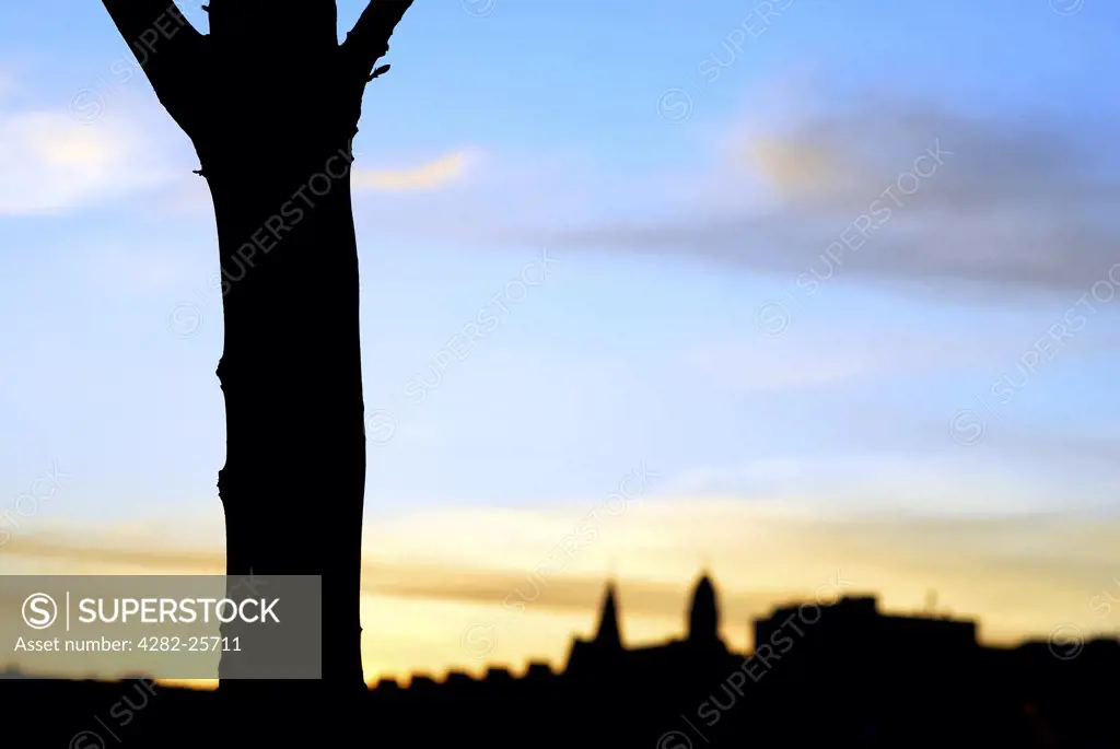 Republic of Ireland, County Cork, Central Cork. Silhouette of a tree by the River Lee in Cork.