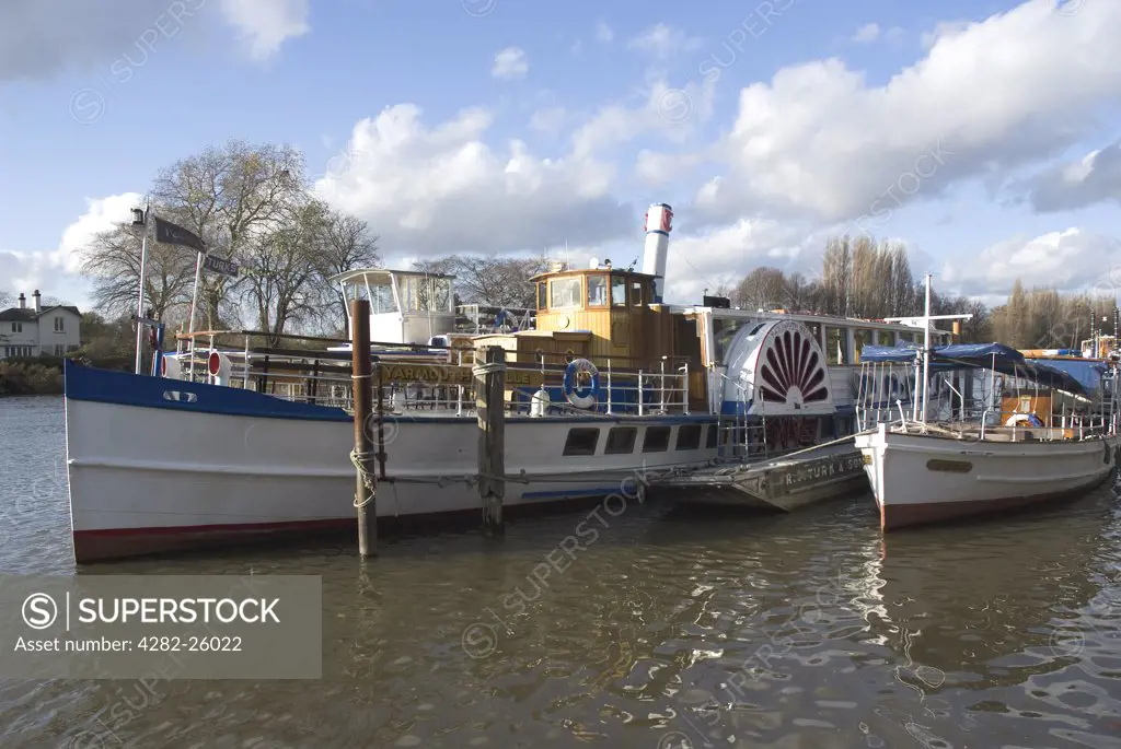 England, London, Kingston upon Thames. Yarmouth Belle steamboat moored alongside other pleasure boats on the River Thames at Kingston upon Thames.