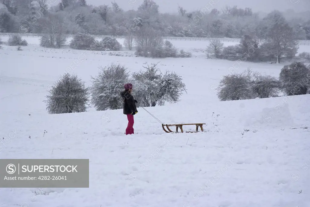 England, Surrey, Epsom. A young girl looking for the best line with her sledge on the Epsom downs.