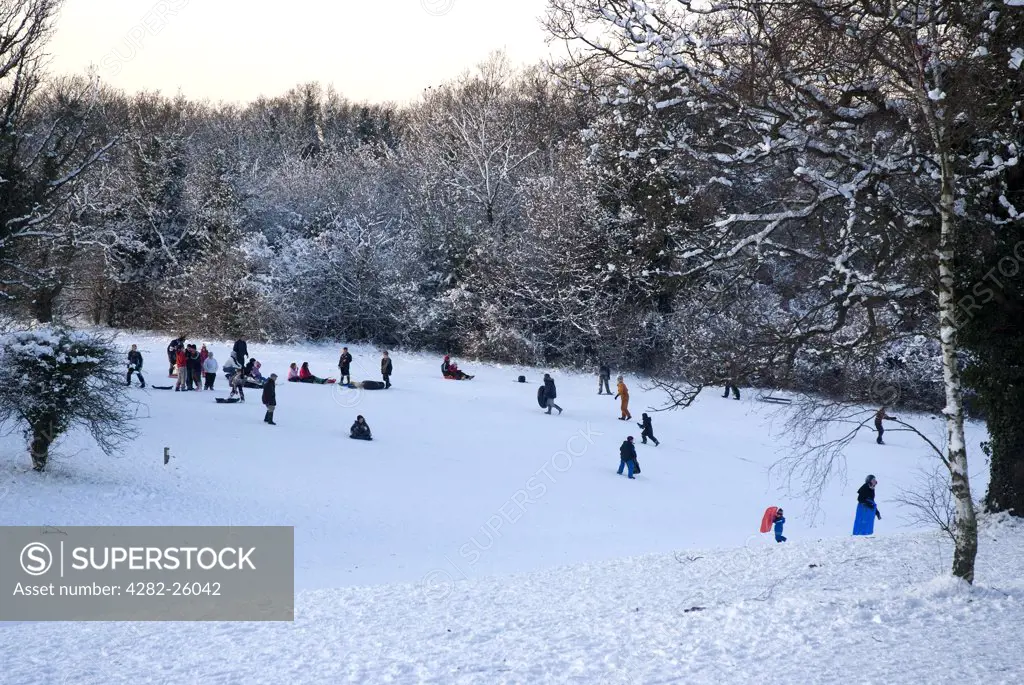 England, Surrey, Epsom. Families enjoying the snow covered slopes of Epsom Downs.