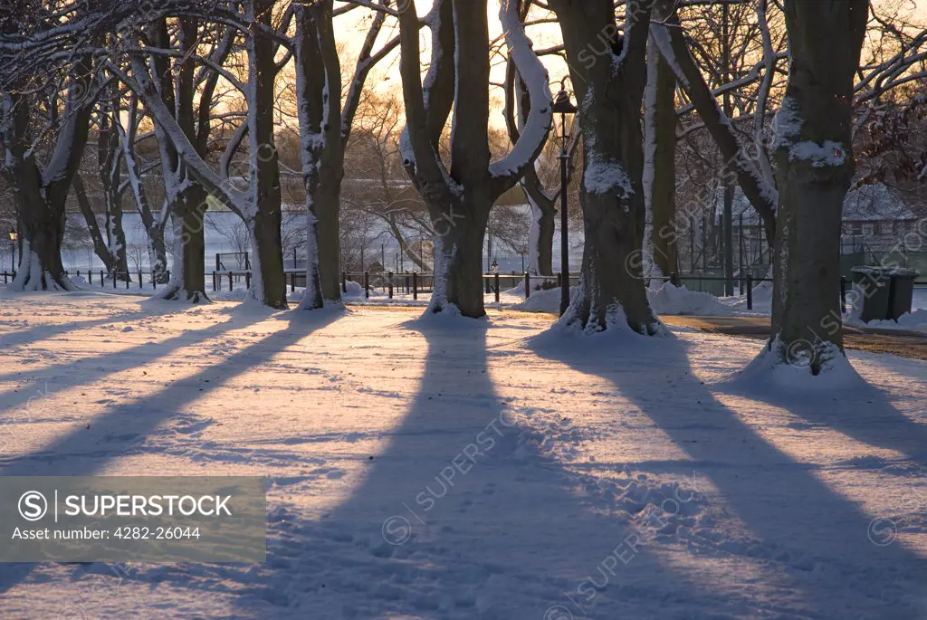 England, Surrey, Epsom. Long shadows from trees over snow covered ground in low evening light.