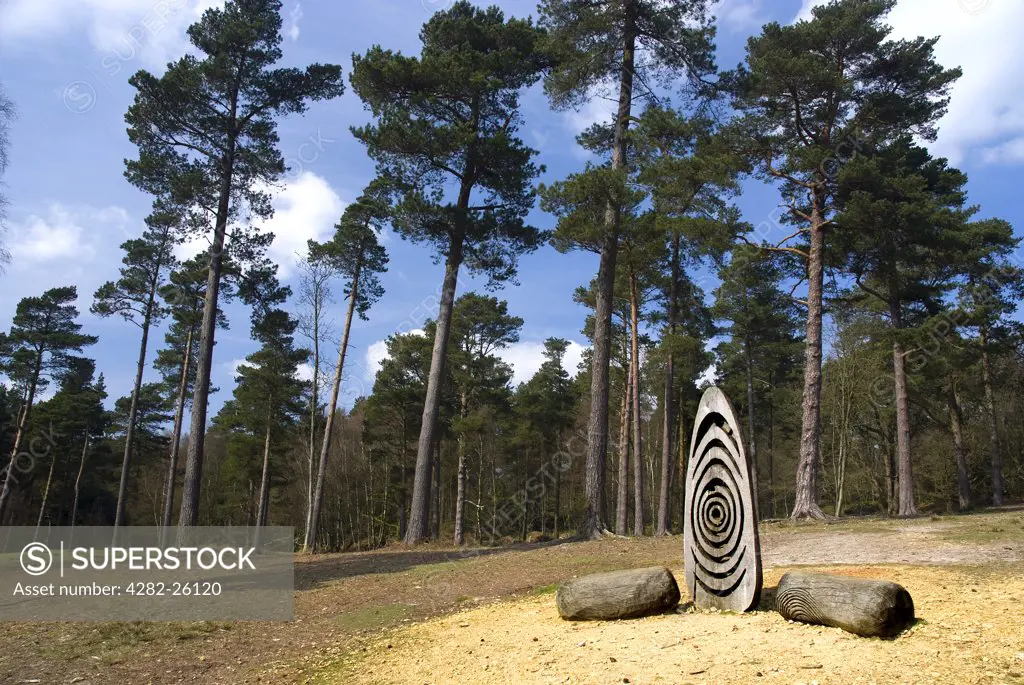 England, Surrey, Leith Hill. 'Oak Stones', a wood sculpture by Walter Bailey on Leith Hill, the highest point in South-east England.