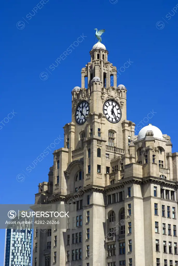 England, Merseyside, Liverpool. A Liver bird on top of a clock tower of the Royal Liver Building on the Pier Head in Liverpool. The building is one of Liverpool's Three Graces.