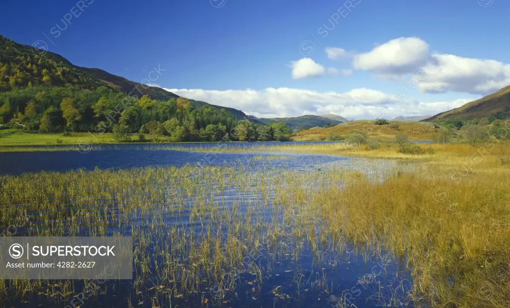 Scotland, Stirling, Loch Voil. Loch Voil looking towards the Braes of Balquhider.
