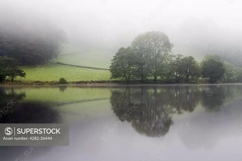 England, Cumbria, Grasmere. Reflections on Grasmere lake through the morning mist.