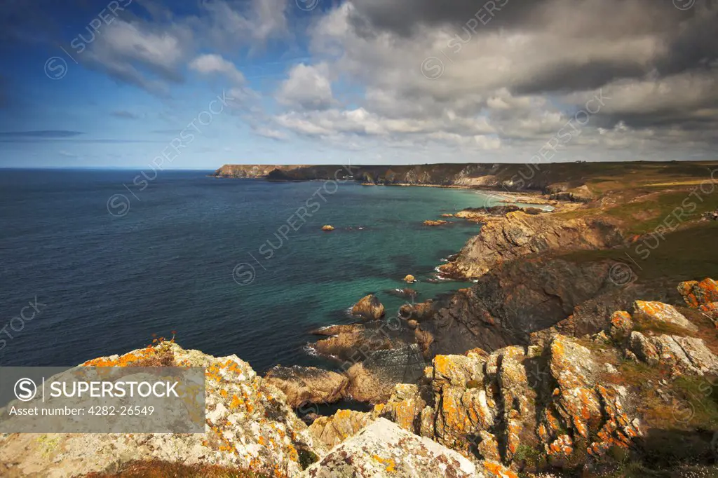 England, Cornwall, The Lizard. Looking across rocky coastline at Lizard Point.