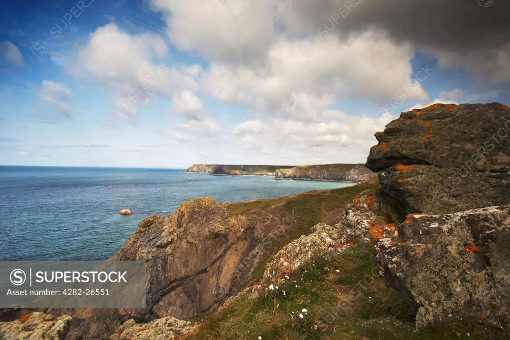 England, Cornwall, The Lizard. Looking across rocky coastline at Lizard Point.