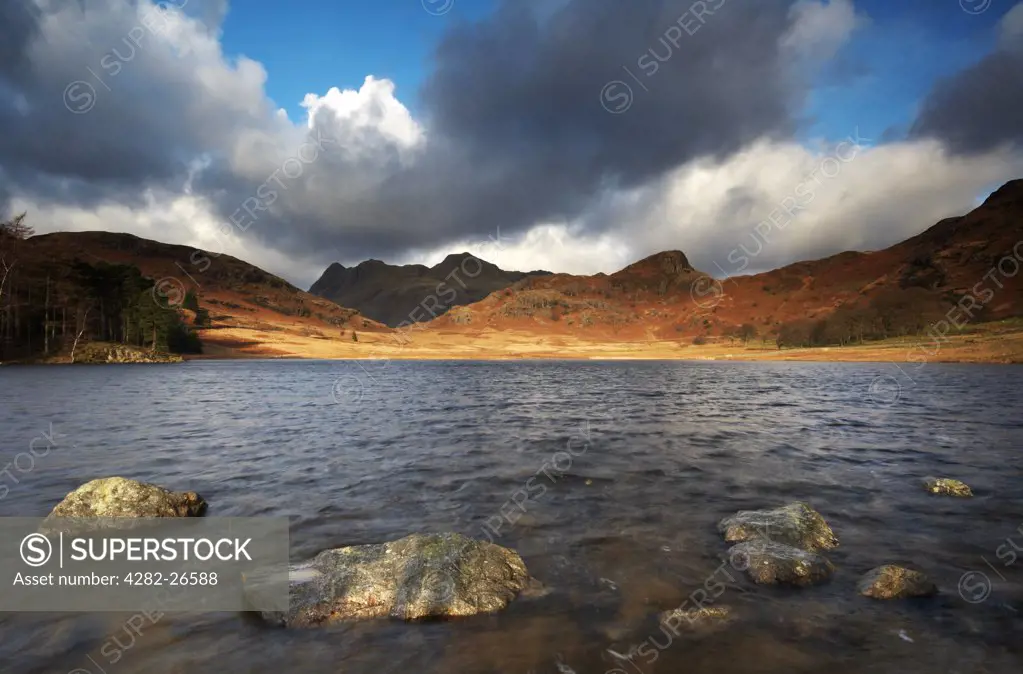 England, Cumbria, Blea Tarn. Sunlight lighting up the distant shore of Blea Tarn, looking towards the Langdale Pikes in the Lake District.