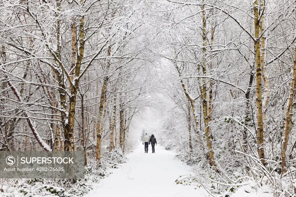 England, Lancashire, Saddleworth. A couple walking hand in hand along a snow covered path through trees.