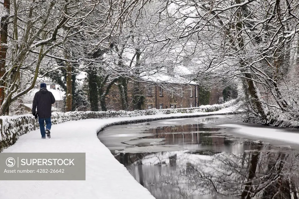England, Lancashire, Saddleworth. A man walking along a snow covered towpath by the Huddersfield Narrow Canal.