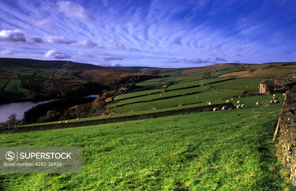 England, West Yorkshire, Holmfirth. Farmland and Bilberry Reservoir in the Peak District National Park. The Reservoir was constructed in 1840, at the head of a narrow gorge leading from Holmebridge.