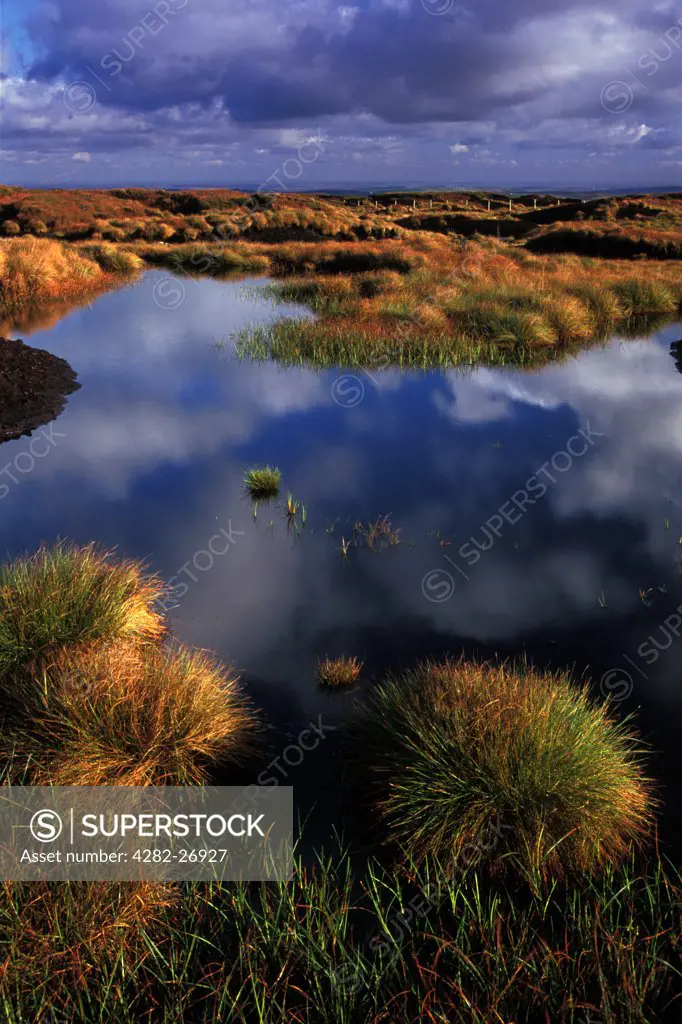 England, West Yorkshire, Holmfirth. Expanses of peat bog on Black Hill. The summit area of Black Hill from Holme Moss westwards is a featureless expanse of moorland and peat bog, nearly all over 500m above sea level.