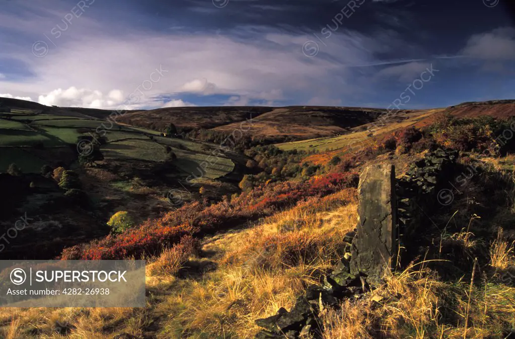 England, West Yorkshire, Meltham. Royd Edge near Meltham. Meltham the place existed in 1086 for it is mentioned in the Domesday Book.