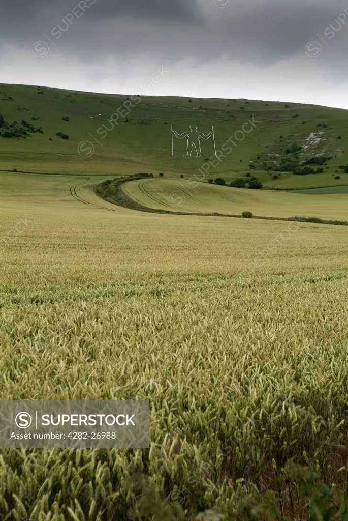 England, East Sussex, Wilmington. A view toward The Long Man chalk figure on the South Downs.