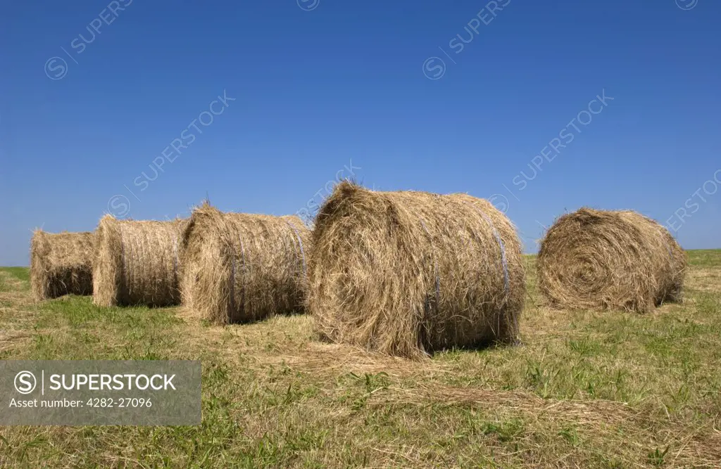 England, East Sussex, Eastbourne. Bales in a field between Eastbourne and Beachy Head.